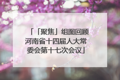 「聚焦」组图回顾河南省十四届人大常委会第十七次会议