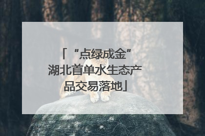 “点绿成金” 湖北首单水生态产品交易落地