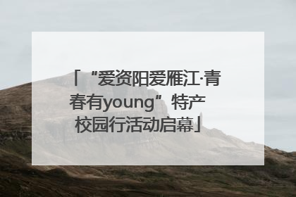 “爱资阳爱雁江·青春有young”特产校园行活动启幕