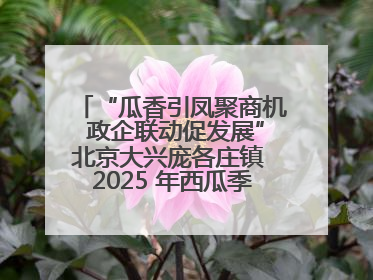 “瓜香引凤聚商机 政企联动促发展”北京大兴庞各庄镇 2025 年西瓜季政企联动产业推介活动圆满举行