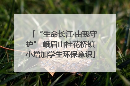 “生命长江·由我守护” 峨眉山桂花桥镇小增加学生环保意识