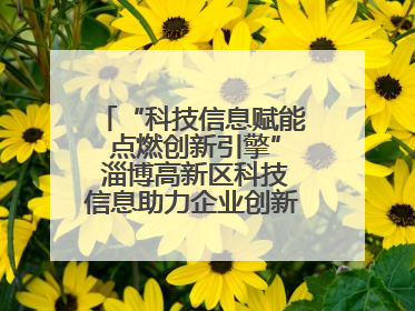 “科技信息赋能 点燃创新引擎” 淄博高新区科技信息助力企业创新发展培训会举办