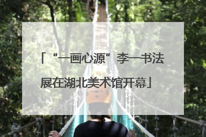 “一画心源”李一书法展在湖北美术馆开幕