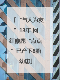 “与人为友”13年 网红麋鹿“点点”已产下8胎幼崽