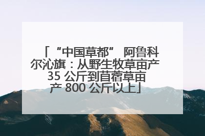 “中国草都” 阿鲁科尔沁旗：从野生牧草亩产 35 公斤到苜蓿草亩产 800 公斤以上