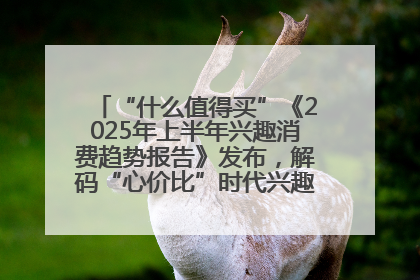 “什么值得买”《2025年上半年兴趣消费趋势报告》发布，解码“心价比”时代兴趣消费新范式