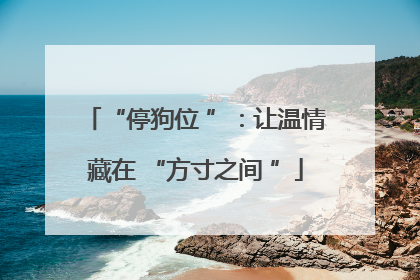 “停狗位 ”：让温情藏在 “方寸之间 ”