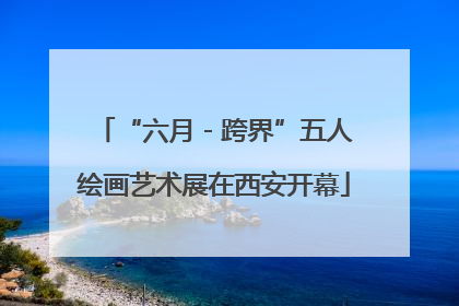 “六月 - 跨界”五人绘画艺术展在西安开幕
