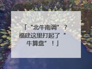 “北牛南调”？福建这里打起了“牛算盘”！