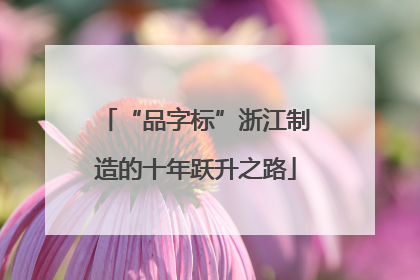 “品字标”浙江制造的十年跃升之路