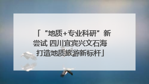 “地质+专业科研”新尝试 四川宜宾兴文石海打造地质旅游新标杆
