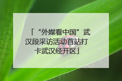“外媒看中国”武汉段采访活动首站打卡武汉经开区