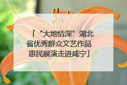 “大地情深”湖北省优秀群众文艺作品惠民展演走进咸宁
