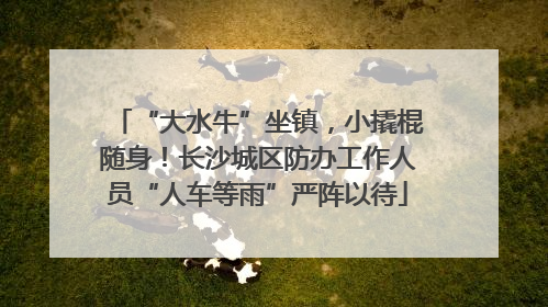 “大水牛”坐镇，小撬棍随身！长沙城区防办工作人员“人车等雨”严阵以待