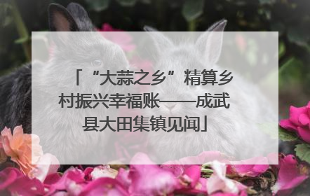 “大蒜之乡”精算乡村振兴幸福账——成武县大田集镇见闻