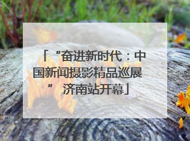 “奋进新时代：中国新闻摄影精品巡展” 济南站开幕