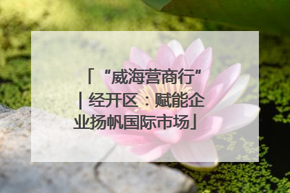 “威海营商行”｜经开区：赋能企业扬帆国际市场