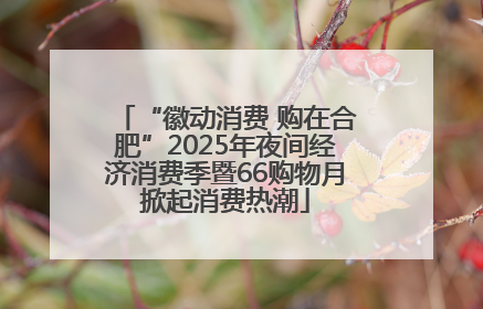 “徽动消费 购在合肥”2025年夜间经济消费季暨66购物月掀起消费热潮