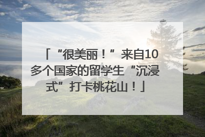 “很美丽！”来自10多个国家的留学生“沉浸式”打卡桃花山！