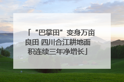 “巴掌田”变身万亩良田 四川合江耕地面积连续三年净增长