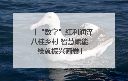 “数字”红利润泽八桂乡村 智慧赋能绘就振兴画卷
