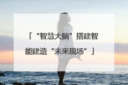 “智慧大脑”搭建智能建造“未来现场”