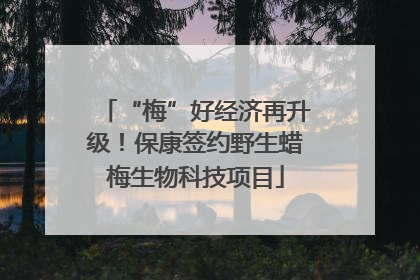 “梅”好经济再升级！保康签约野生蜡梅生物科技项目