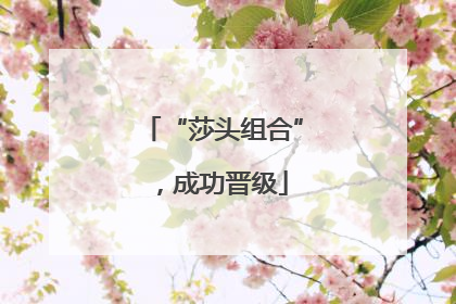 “莎头组合”，成功晋级