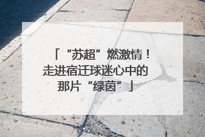 “苏超”燃激情！走进宿迁球迷心中的那片“绿茵”