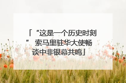 “这是一个历史时刻” 索马里驻华大使畅谈中非银幕共鸣