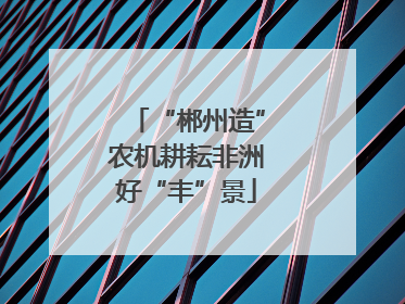 “郴州造”农机耕耘非洲好“丰”景