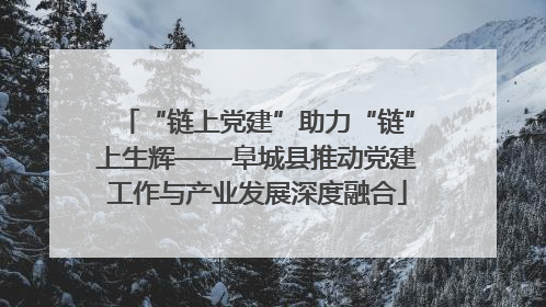 “链上党建”助力“链”上生辉——阜城县推动党建工作与产业发展深度融合