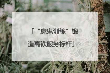 “魔鬼训练”锻造高铁服务标杆