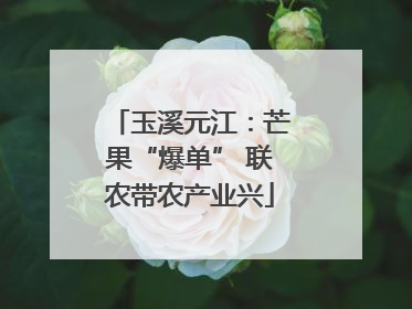 玉溪元江：芒果“爆单” 联农带农产业兴
