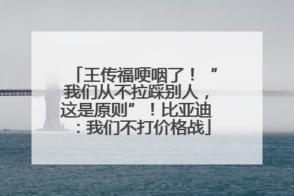 王传福哽咽了！“我们从不拉踩别人，这是原则”！比亚迪：我们不打价格战
