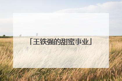 王铁强的甜蜜事业