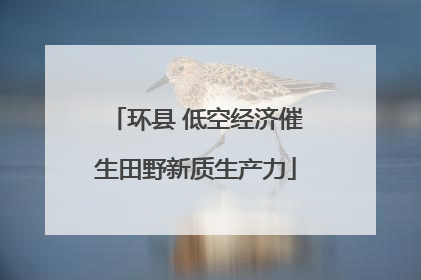 环县 低空经济催生田野新质生产力