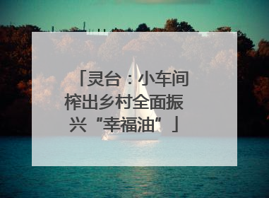 灵台：小车间榨出乡村全面振兴“幸福油”