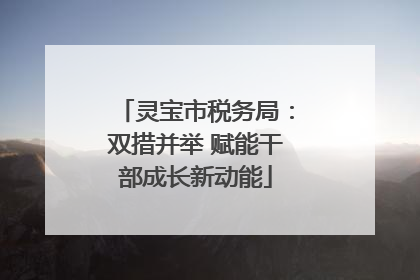 灵宝市税务局：双措并举 赋能干部成长新动能
