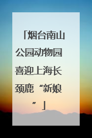 烟台南山公园动物园喜迎上海长颈鹿“新娘”