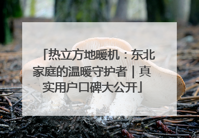 热立方地暖机：东北家庭的温暖守护者｜真实用户口碑大公开