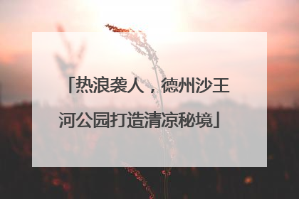 热浪袭人，德州沙王河公园打造清凉秘境