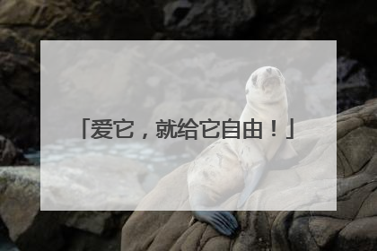 爱它，就给它自由！