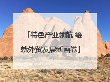 特色产业领航 绘就外贸发展新画卷