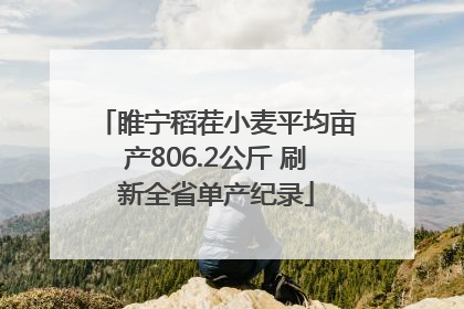 睢宁稻茬小麦平均亩产806.2公斤 刷新全省单产纪录
