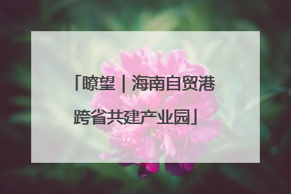 瞭望｜海南自贸港跨省共建产业园