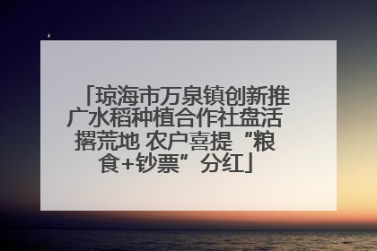 琼海市万泉镇创新推广水稻种植合作社盘活撂荒地 农户喜提“粮食+钞票”分红