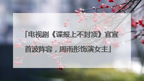 电视剧《谍报上不封顶》官宣首波阵容，周雨彤饰演女主