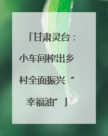 甘肃灵台：小车间榨出乡村全面振兴“幸福油”