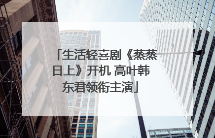 生活轻喜剧《蒸蒸日上》开机 高叶韩东君领衔主演